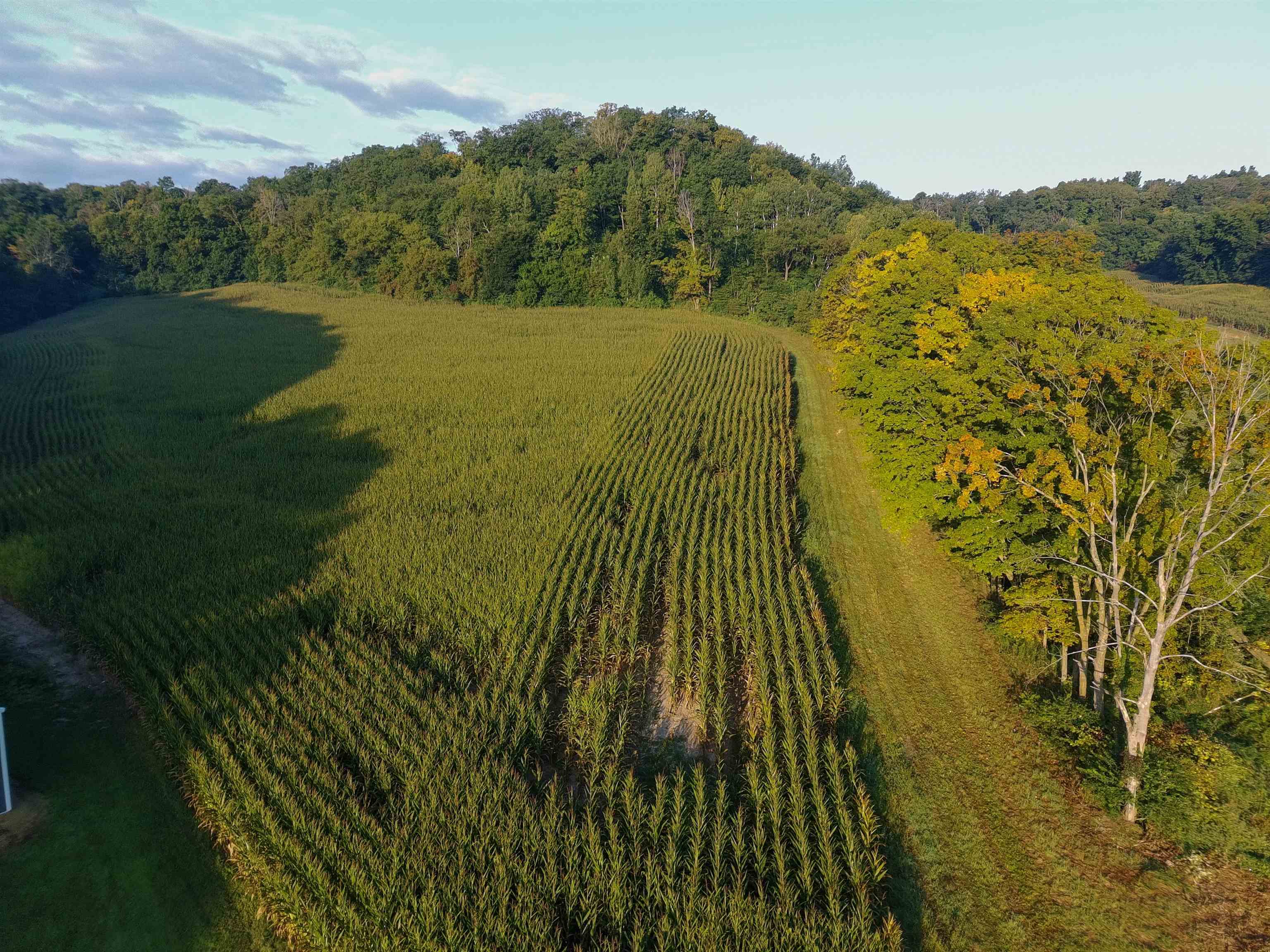 Anderson Richland Center, WI 53581 - Photo 18 of 89