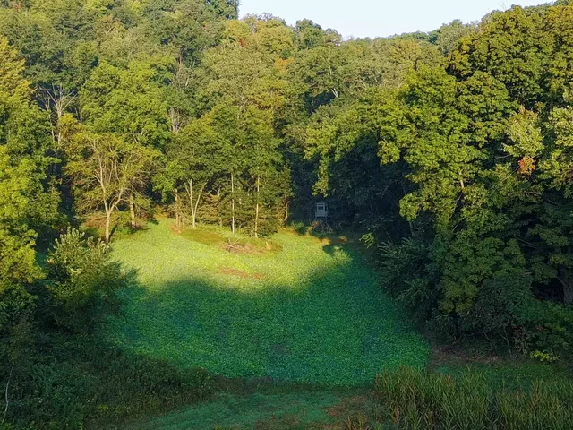 $2,975,000 | Anderson, Richland Center, WI 53581