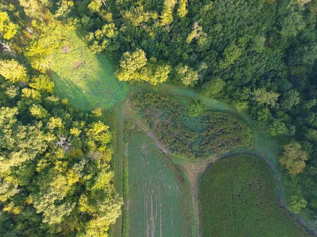 $2,975,000 | Anderson, Richland Center, WI 53581