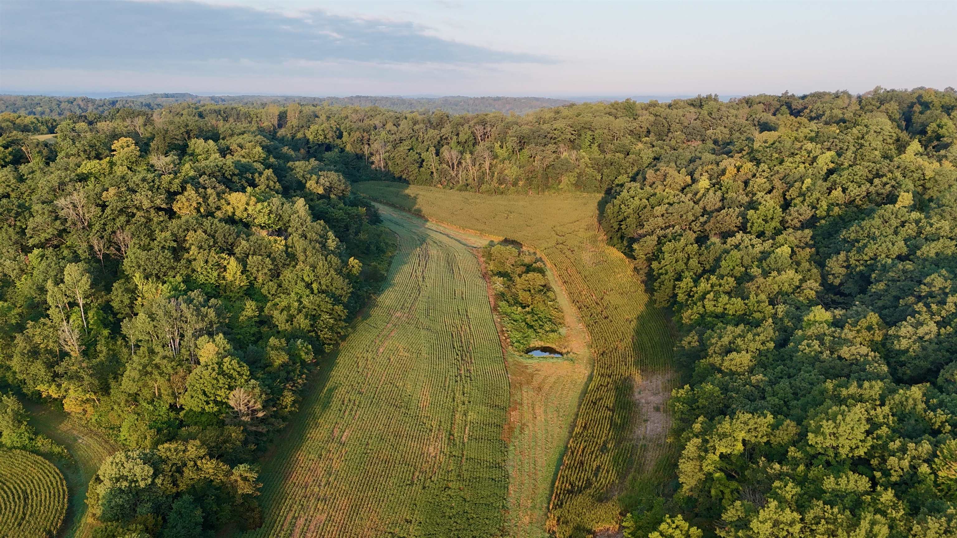 Anderson Richland Center, WI 53581 - Photo 23 of 89
