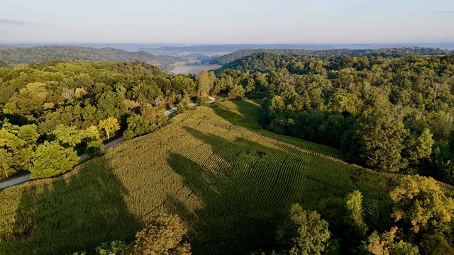 $2,975,000 | Anderson, Richland Center, WI 53581