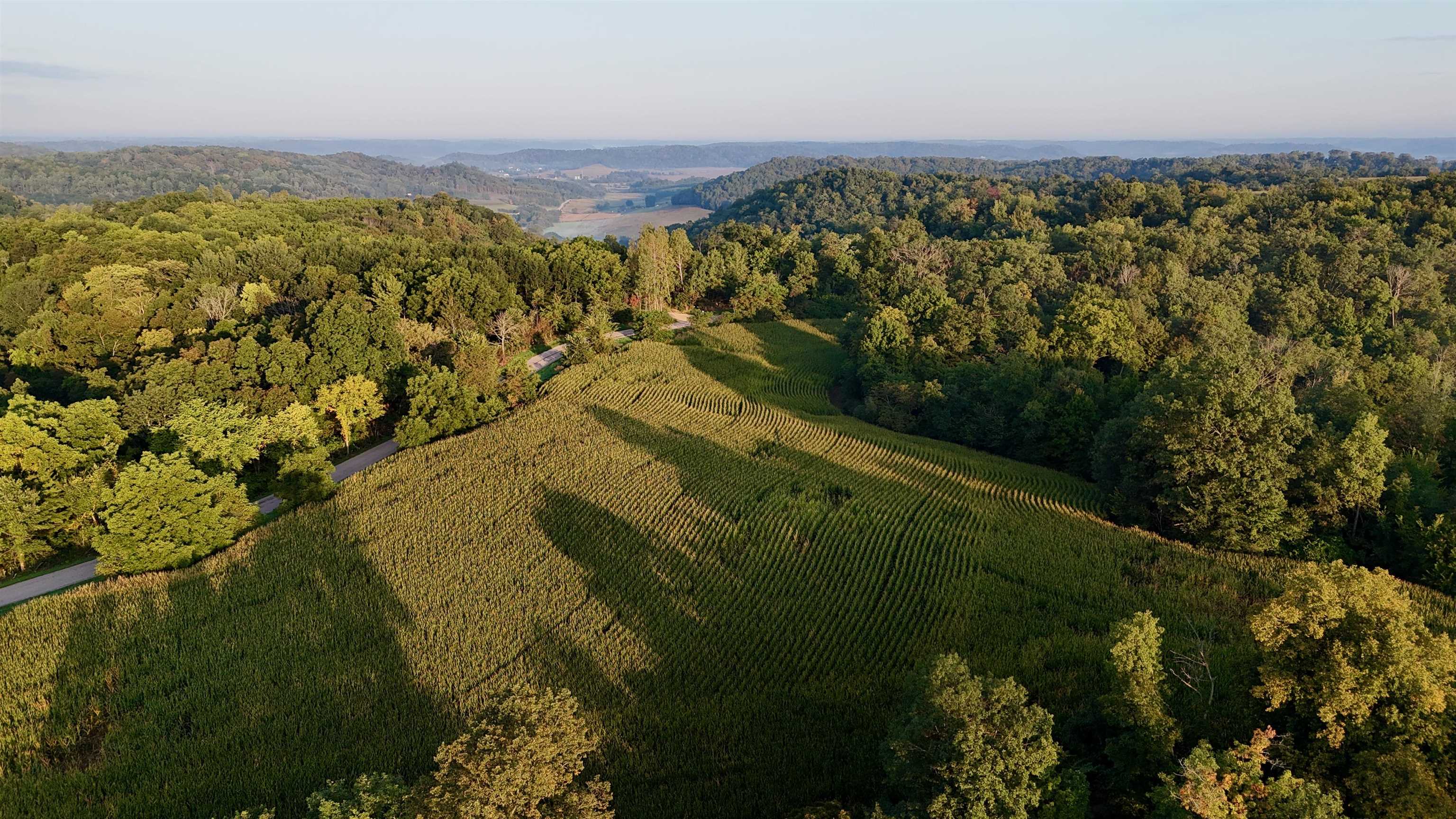Anderson Richland Center, WI 53581 - Photo 30 of 89