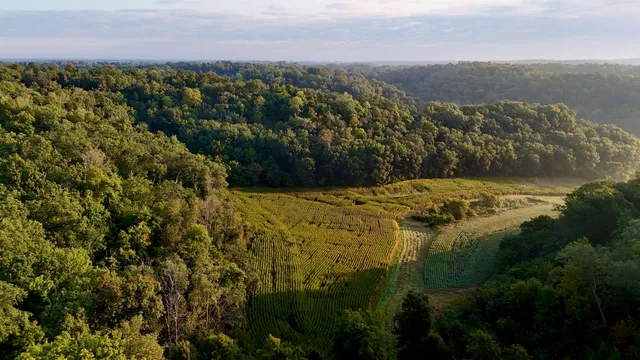 $2,975,000 | Anderson, Richland Center, WI 53581