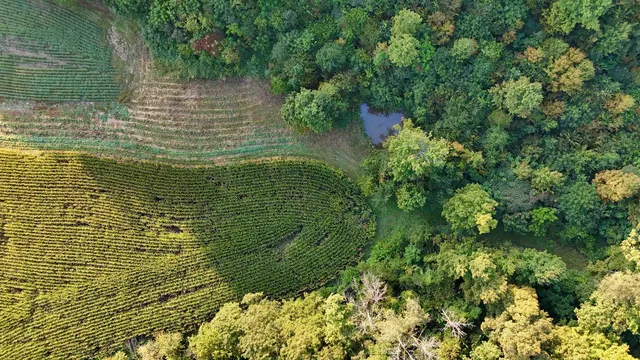 $2,975,000 | Anderson, Richland Center, WI 53581