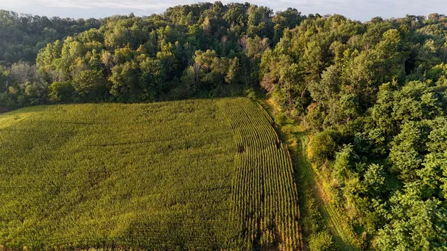 $2,975,000 | Anderson, Richland Center, WI 53581