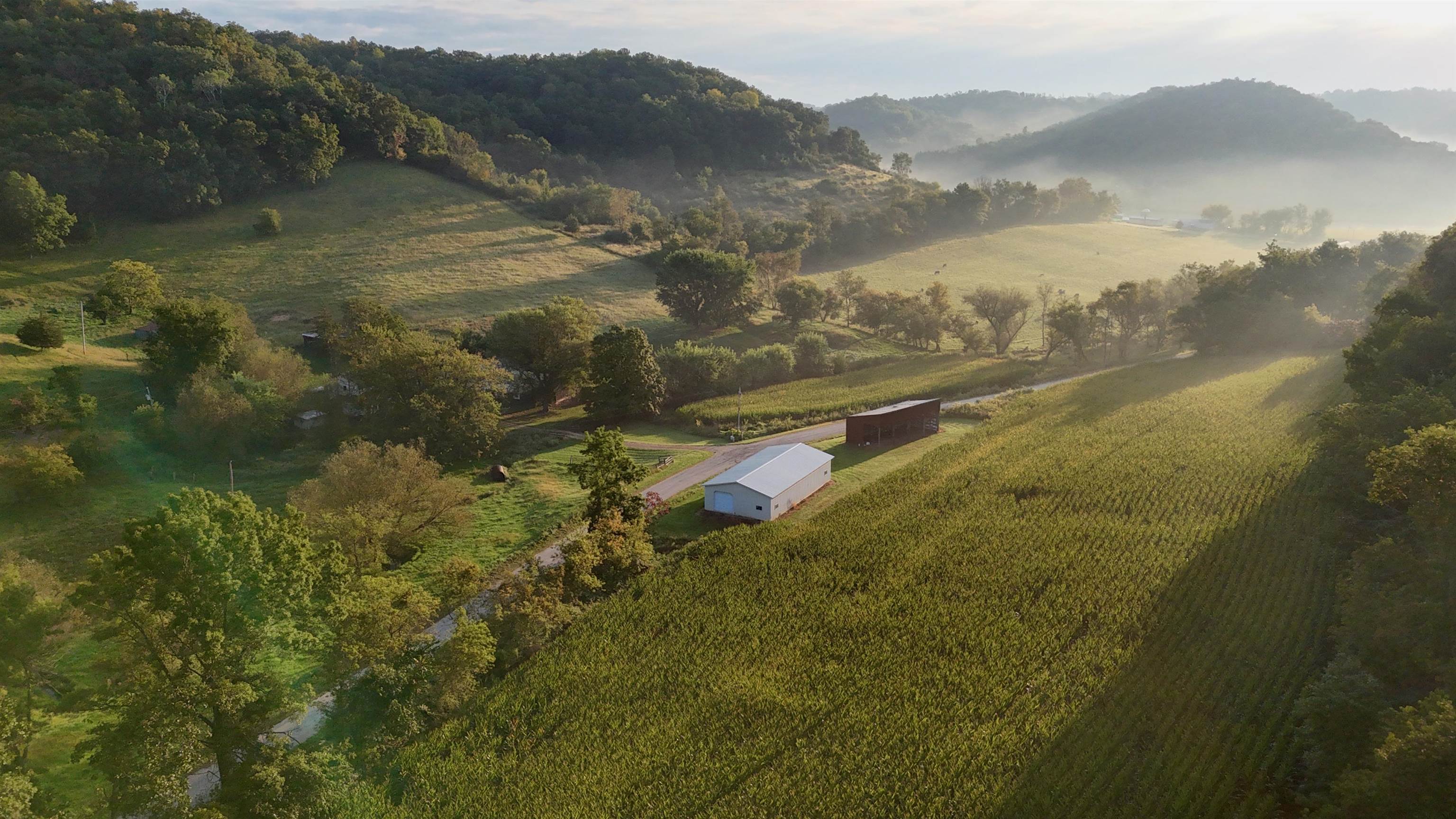 Anderson Richland Center, WI 53581 - Photo 36 of 89