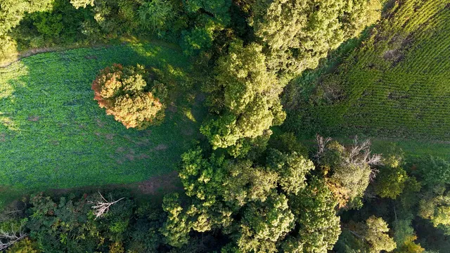 $2,975,000 | Anderson, Richland Center, WI 53581