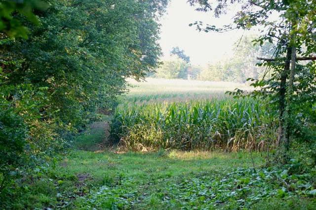 $2,975,000 | Anderson, Richland Center, WI 53581