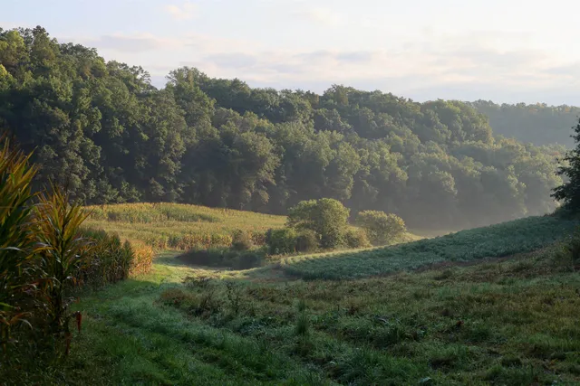 $2,975,000 | Anderson, Richland Center, WI 53581