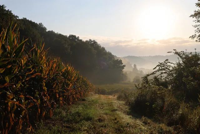 $2,975,000 | Anderson, Richland Center, WI 53581