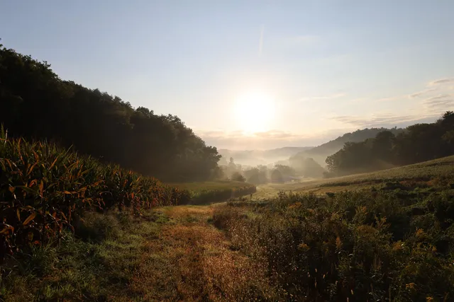 $2,975,000 | Anderson, Richland Center, WI 53581