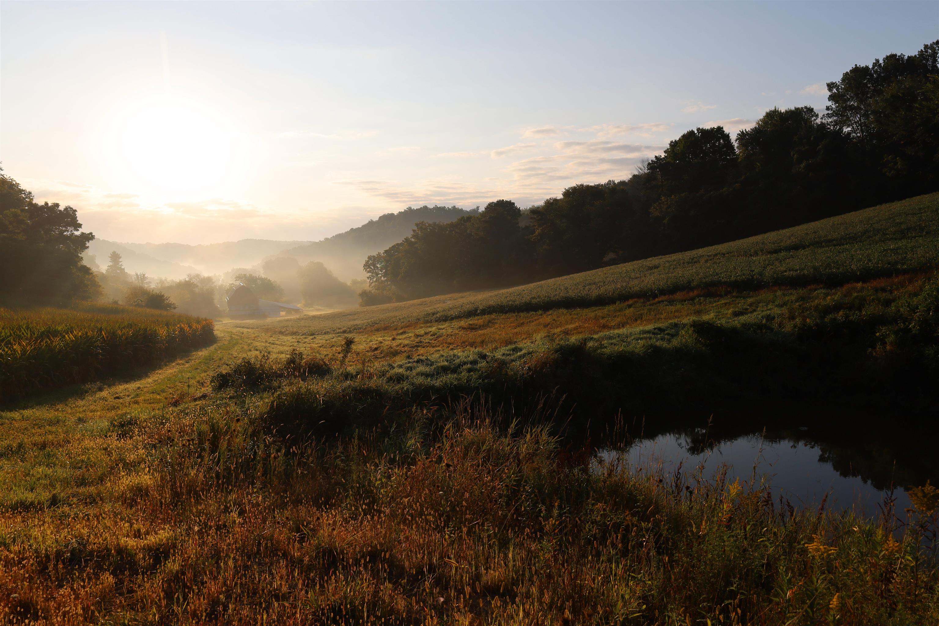 Anderson Richland Center, WI 53581 - Photo 49 of 89