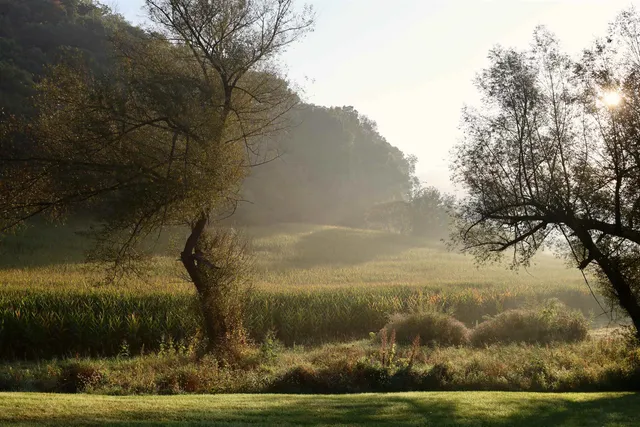 $2,975,000 | Anderson, Richland Center, WI 53581