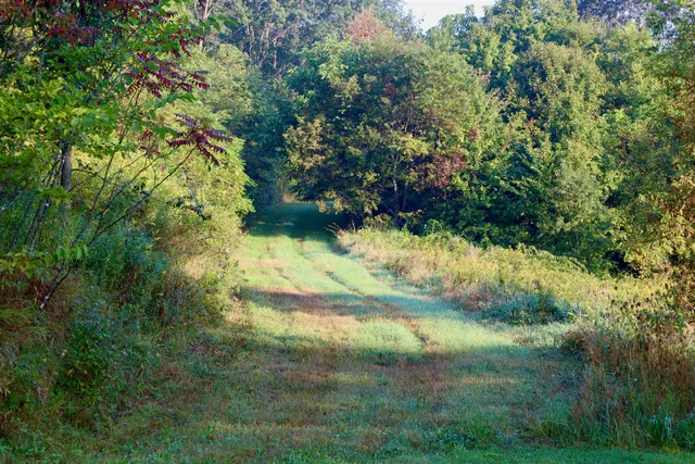 $2,975,000 | Anderson, Richland Center, WI 53581