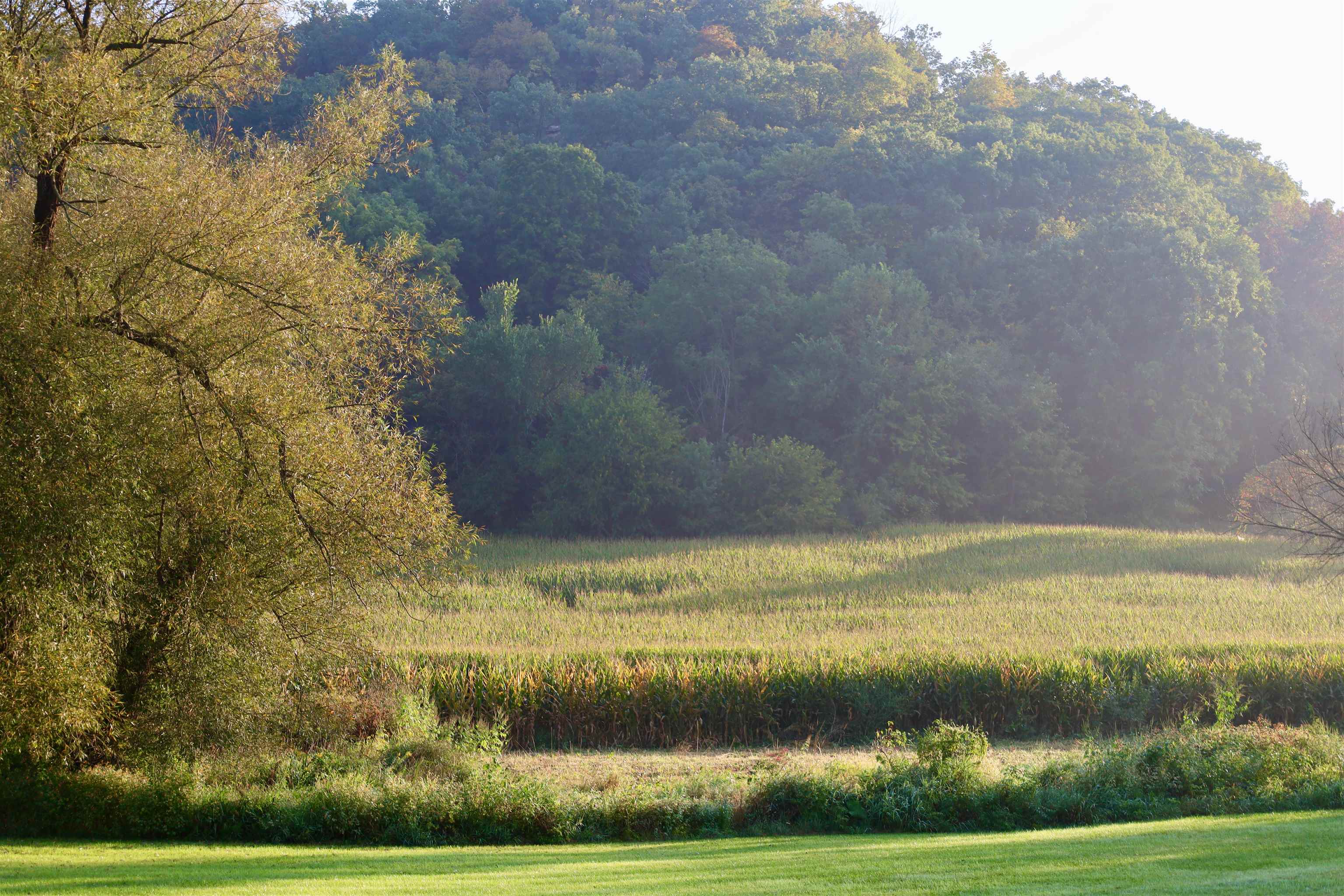 Anderson Richland Center, WI 53581 - Photo 57 of 89