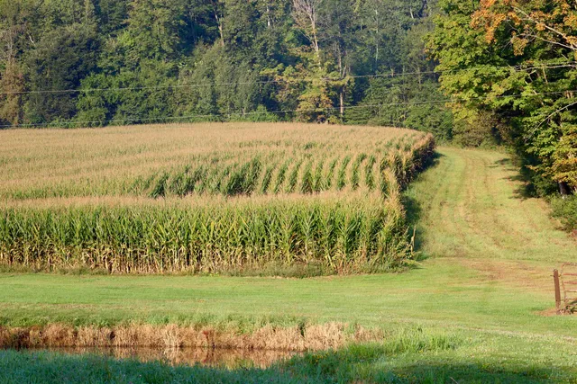 $2,975,000 | Anderson, Richland Center, WI 53581