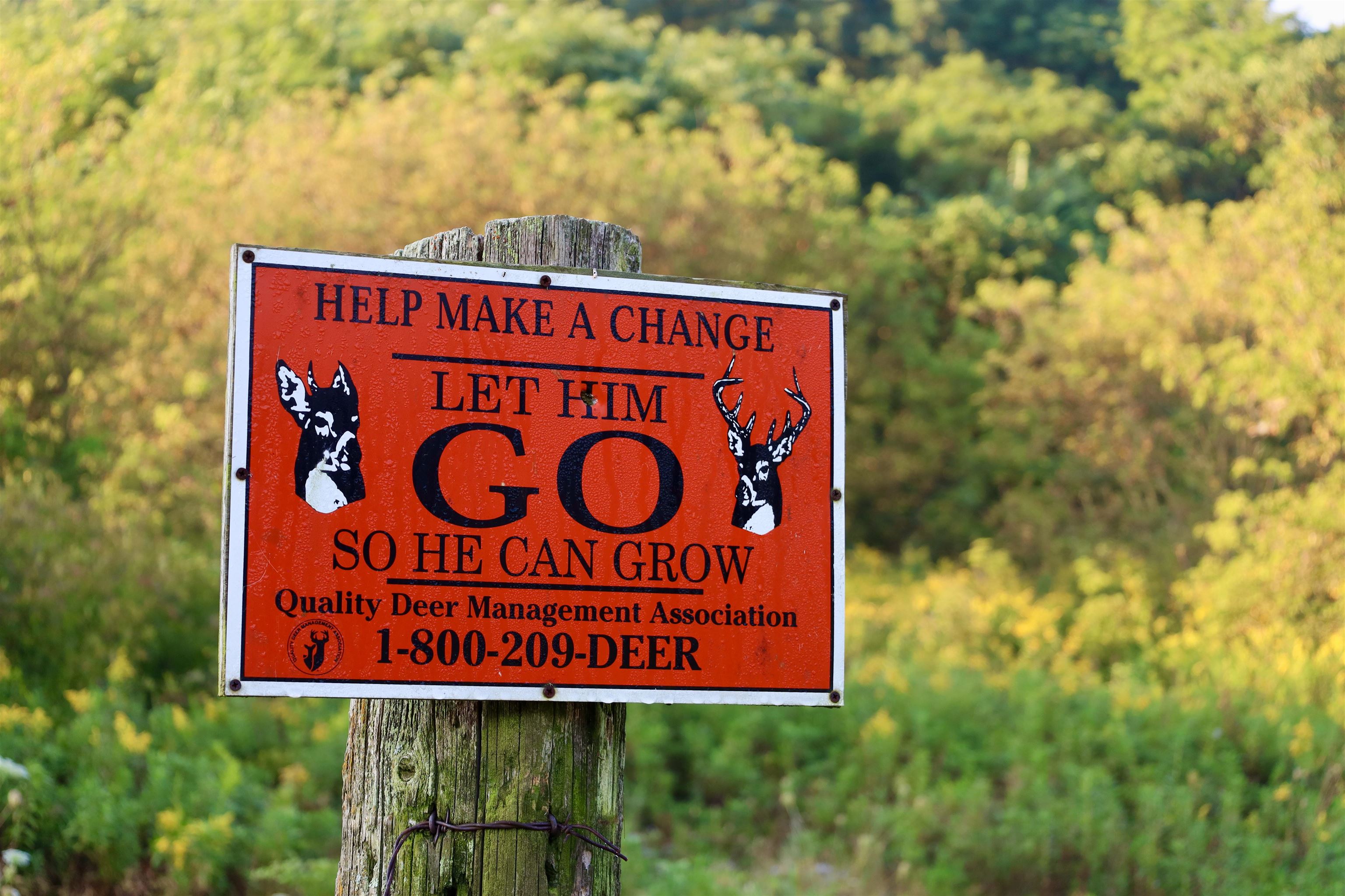 Anderson Richland Center, WI 53581 - Photo 59 of 89