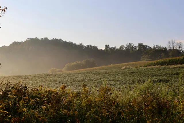 $2,975,000 | Anderson, Richland Center, WI 53581