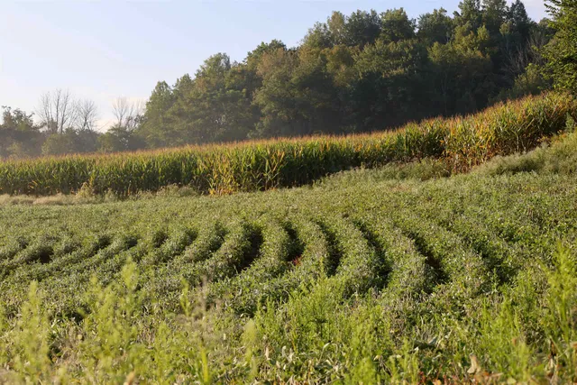 $2,975,000 | Anderson, Richland Center, WI 53581