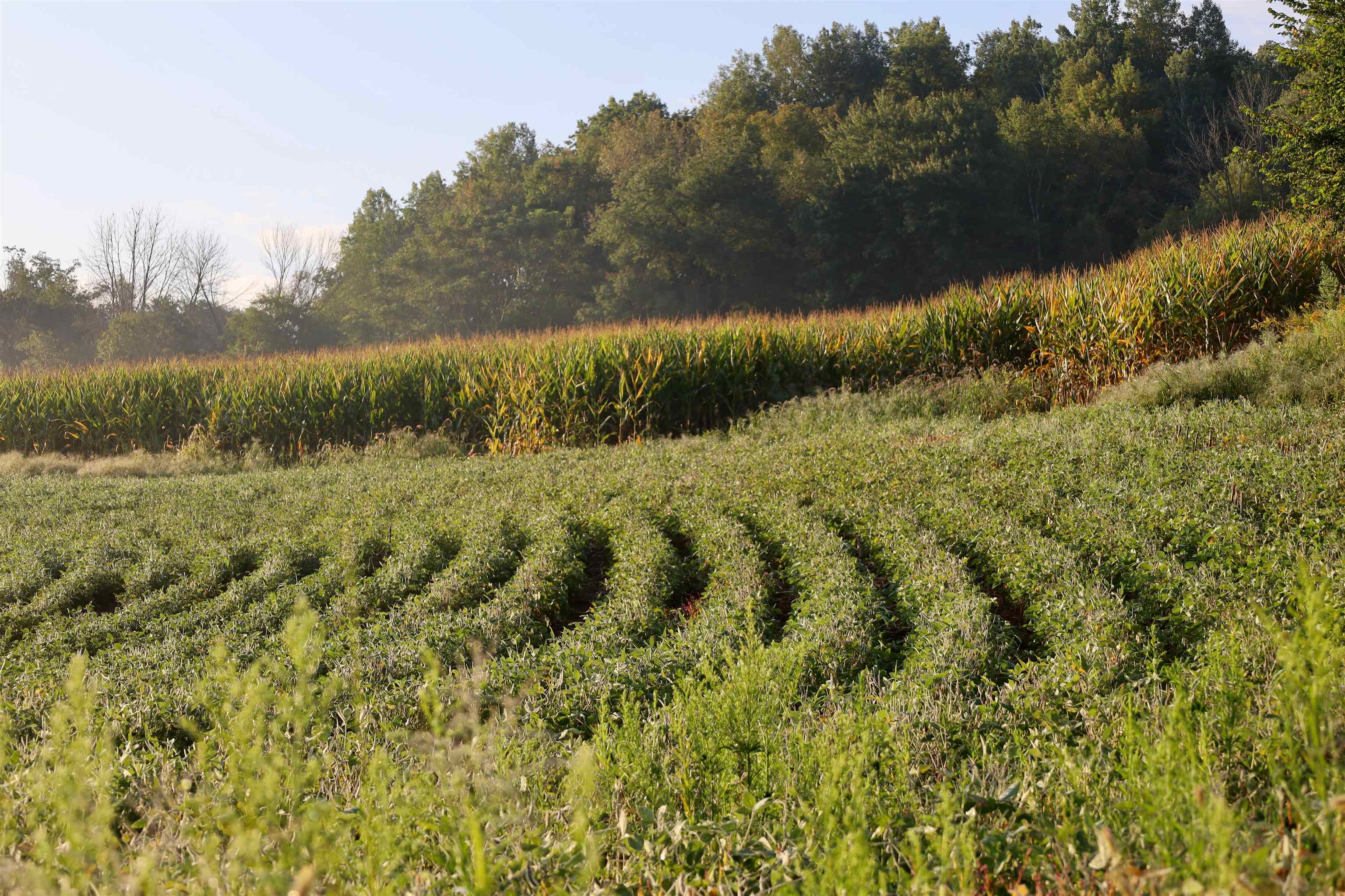 Anderson Richland Center, WI 53581 - Photo 63 of 89