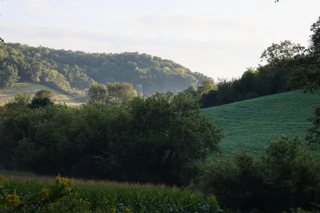 $2,975,000 | Anderson, Richland Center, WI 53581