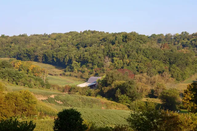 $2,975,000 | Anderson, Richland Center, WI 53581