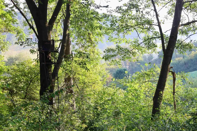 $2,975,000 | Anderson, Richland Center, WI 53581