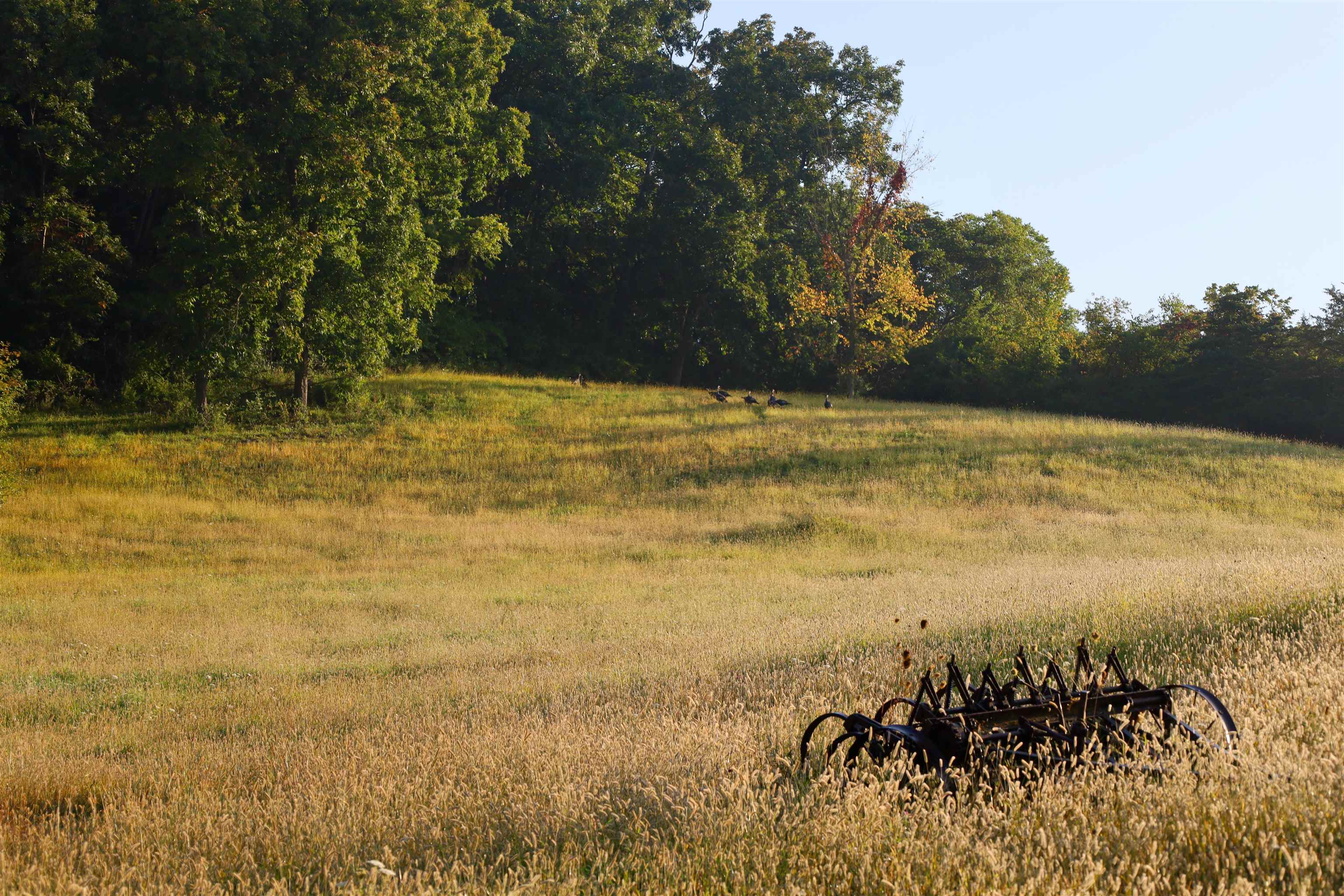 Anderson Richland Center, WI 53581 - Photo 68 of 89