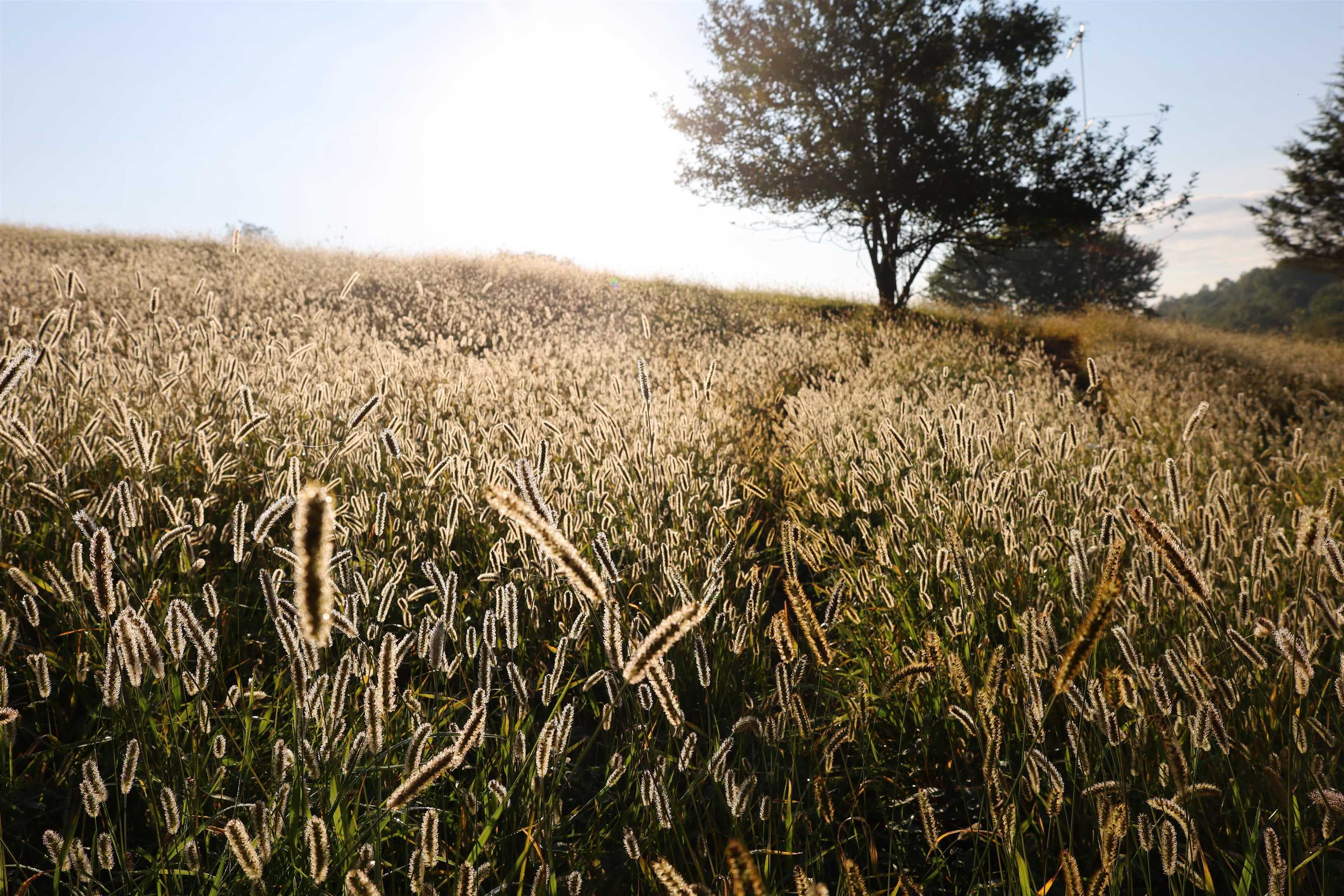 Anderson Richland Center, WI 53581 - Photo 69 of 89