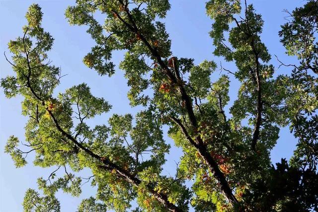 $2,975,000 | Anderson, Richland Center, WI 53581