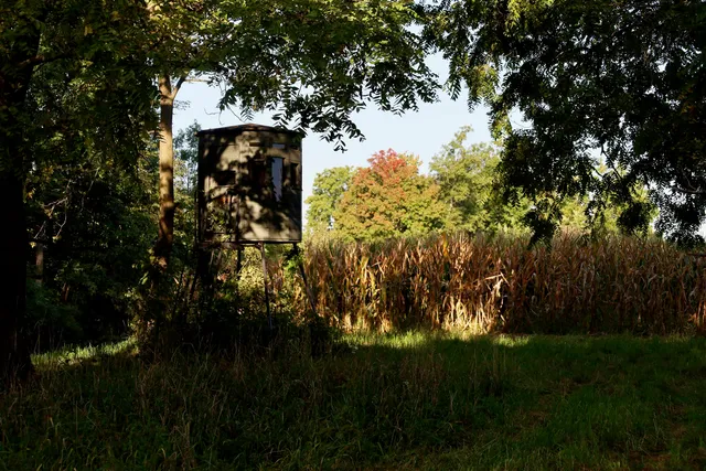 $2,975,000 | Anderson, Richland Center, WI 53581