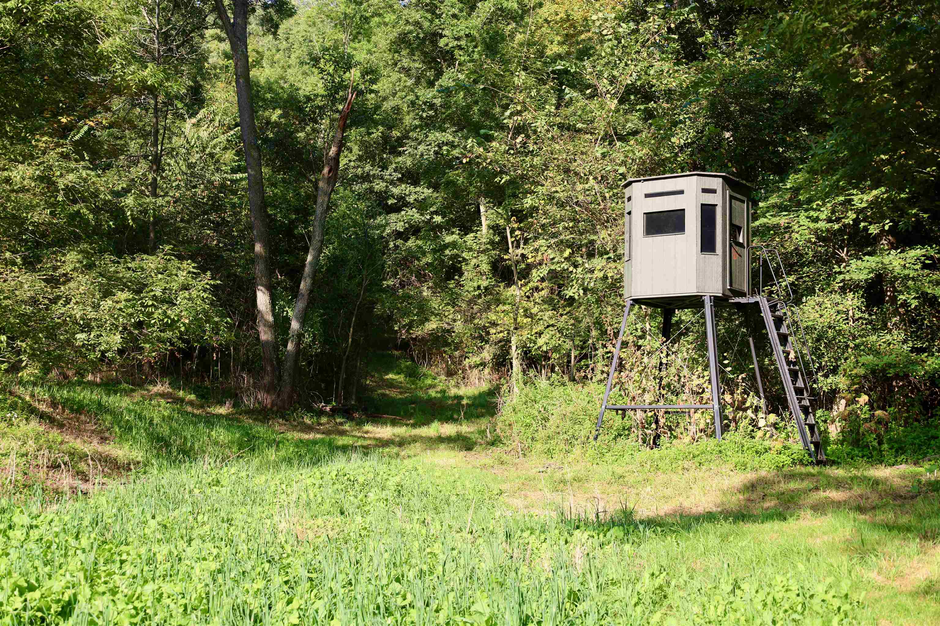 Anderson Richland Center, WI 53581 - Photo 73 of 89