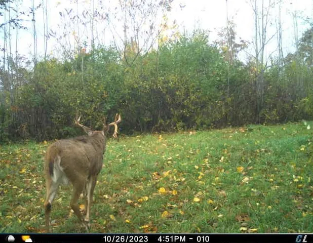 $2,975,000 | Anderson, Richland Center, WI 53581