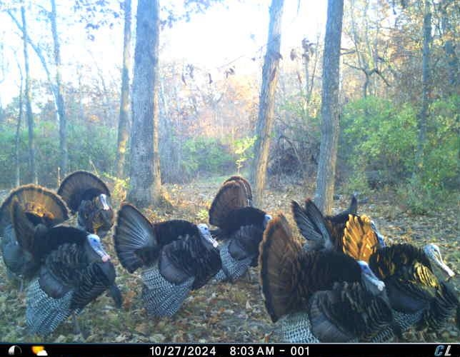 Anderson Richland Center, WI 53581 - Photo 75 of 89
