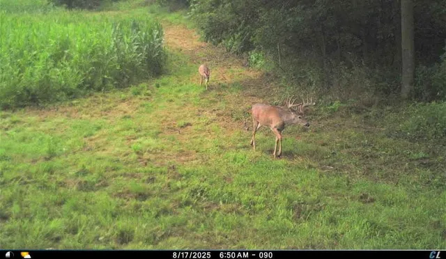 $2,975,000 | Anderson, Richland Center, WI 53581