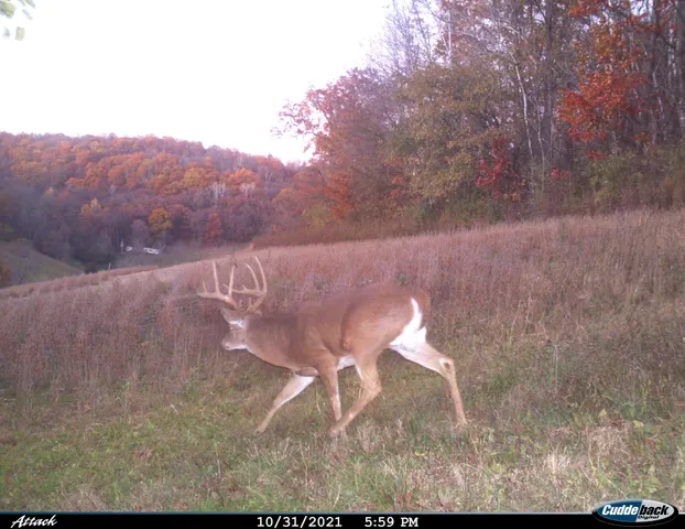 $2,975,000 | Anderson, Richland Center, WI 53581