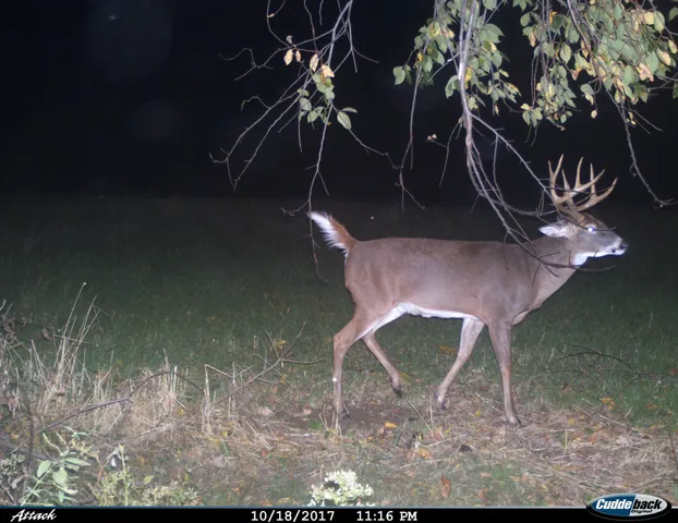 $2,975,000 | Anderson, Richland Center, WI 53581