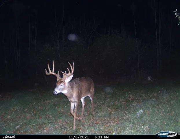 $2,975,000 | Anderson, Richland Center, WI 53581