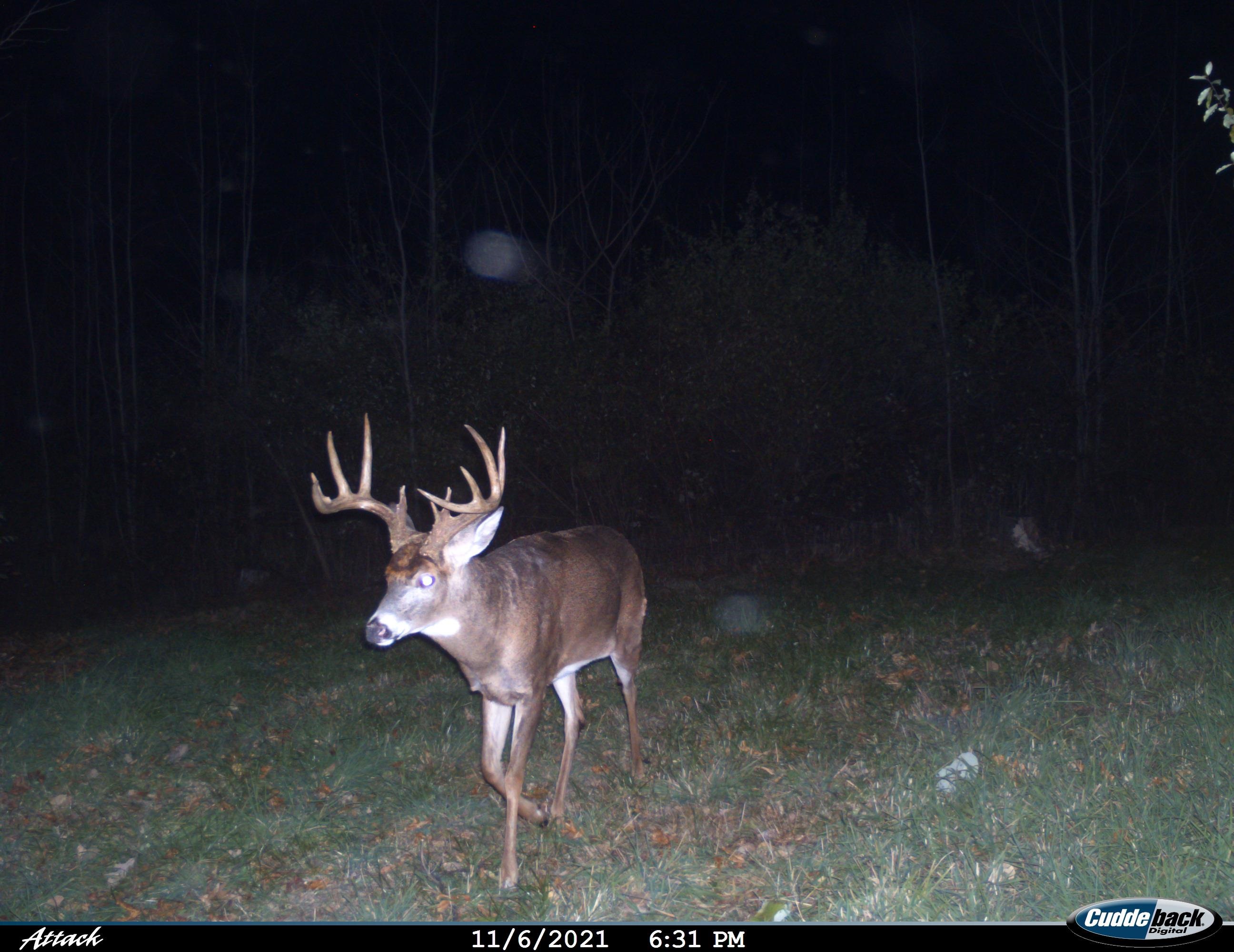 Anderson Richland Center, WI 53581 - Photo 79 of 89