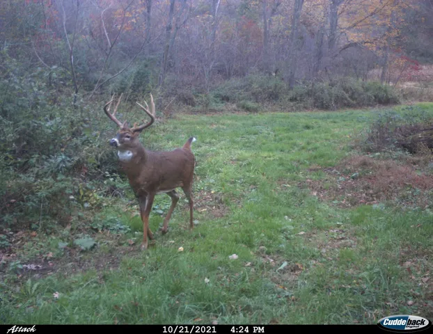 $2,975,000 | Anderson, Richland Center, WI 53581