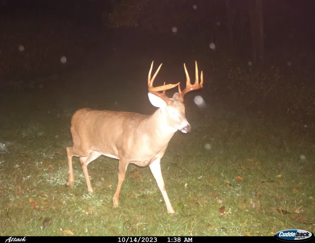 $2,975,000 | Anderson, Richland Center, WI 53581