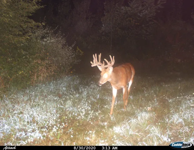 $2,975,000 | Anderson, Richland Center, WI 53581