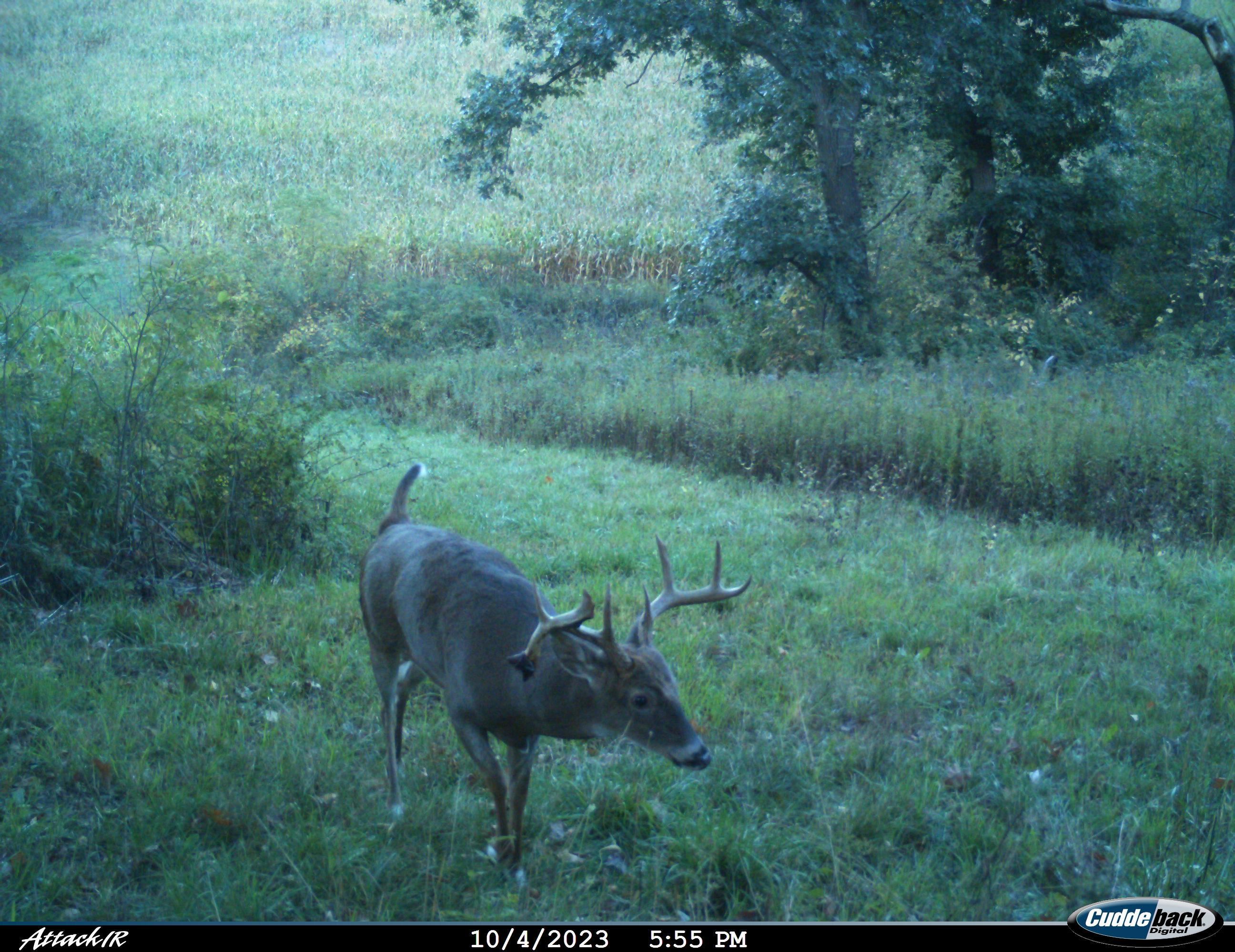 Anderson Richland Center, WI 53581 - Photo 83 of 89