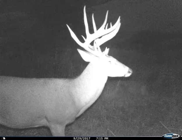 $2,975,000 | Anderson, Richland Center, WI 53581