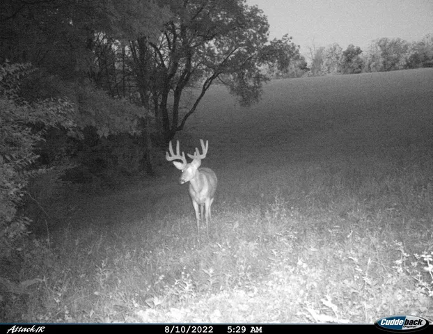 $2,975,000 | Anderson, Richland Center, WI 53581