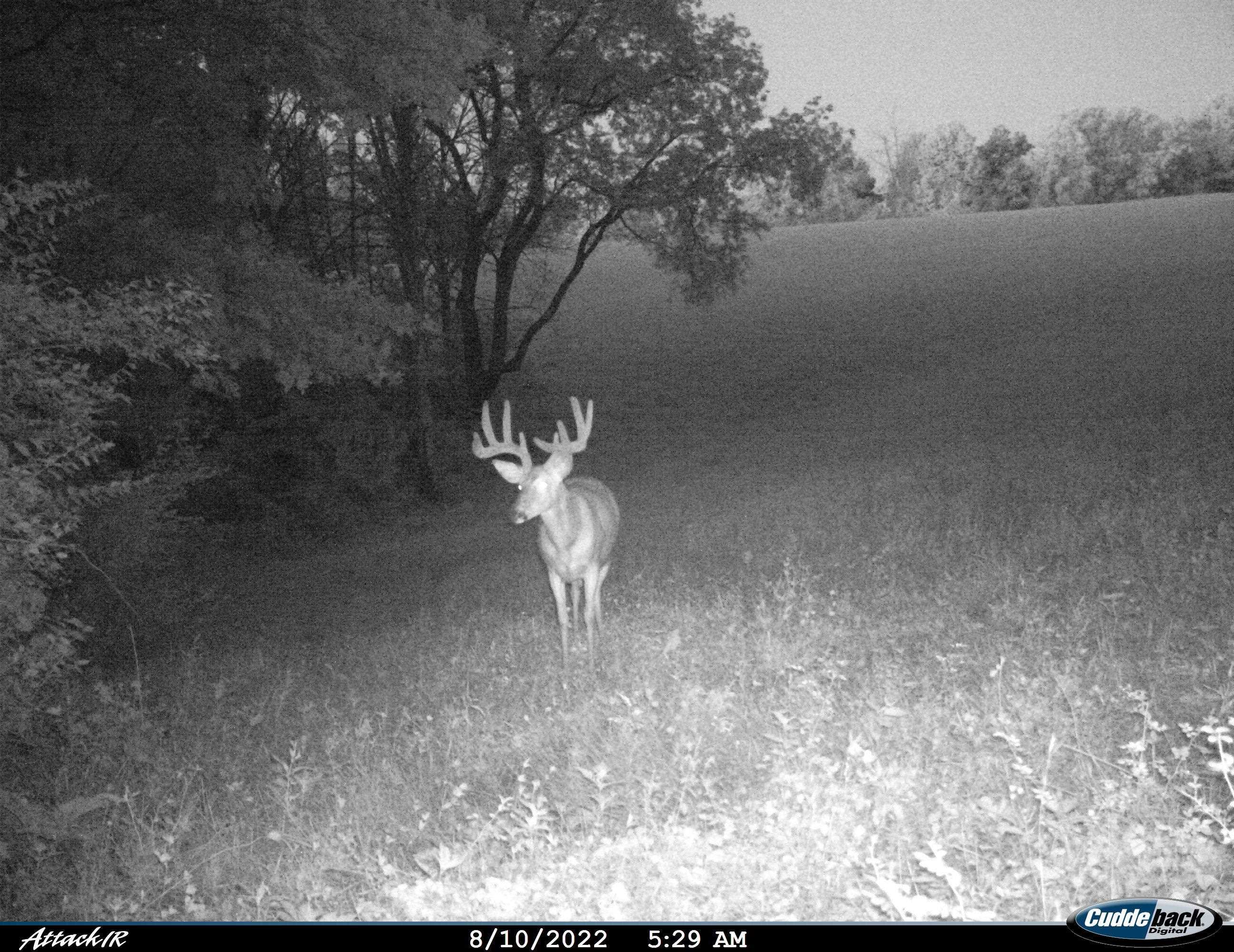 Anderson Richland Center, WI 53581 - Photo 85 of 89