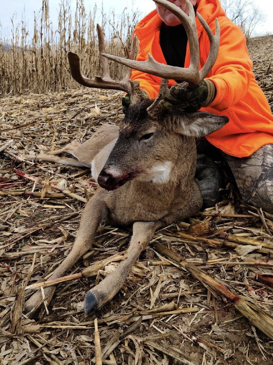 Anderson Richland Center, WI 53581 - Photo 86 of 89