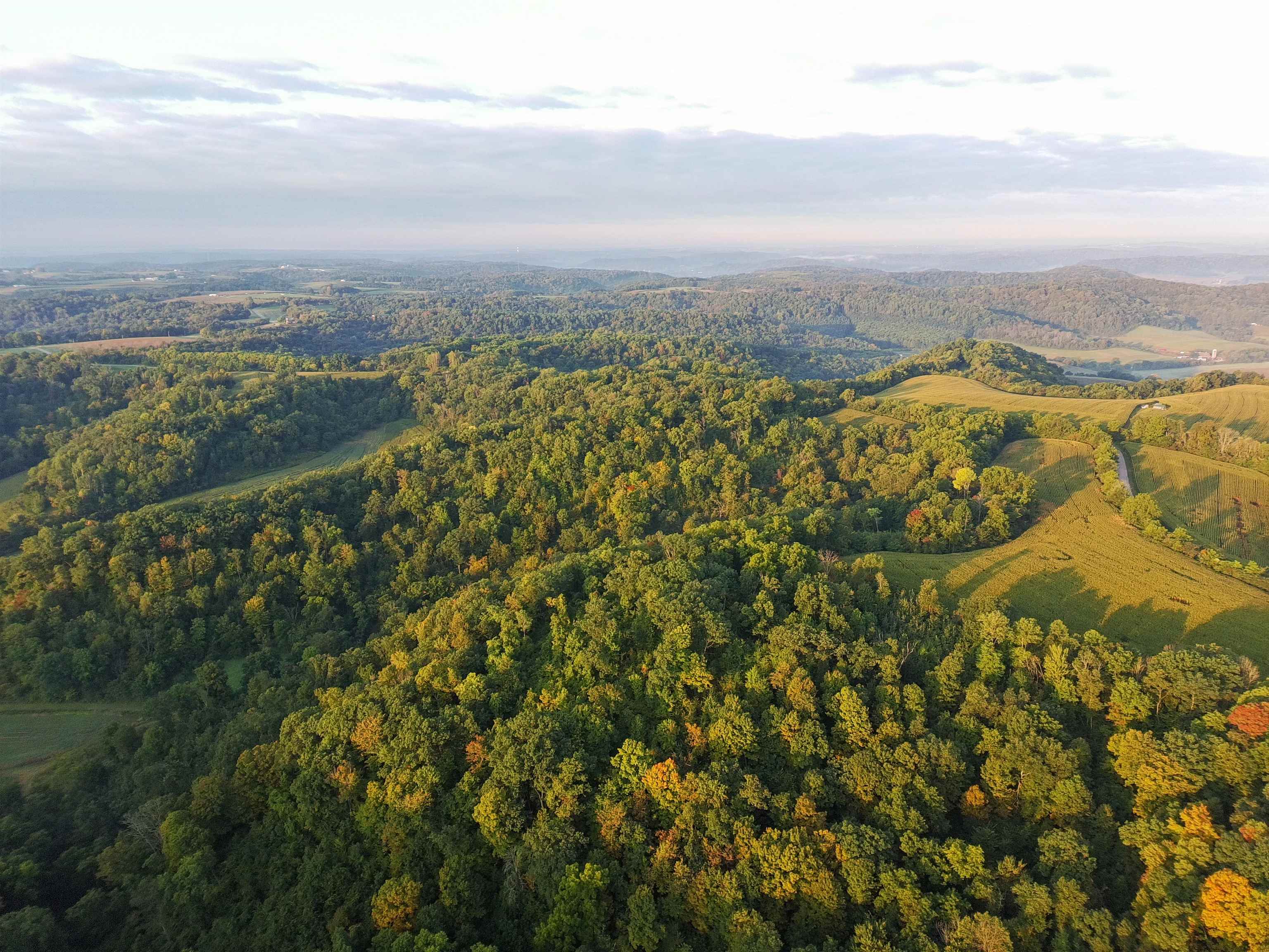 Anderson Richland Center, WI 53581 - Photo 10 of 89