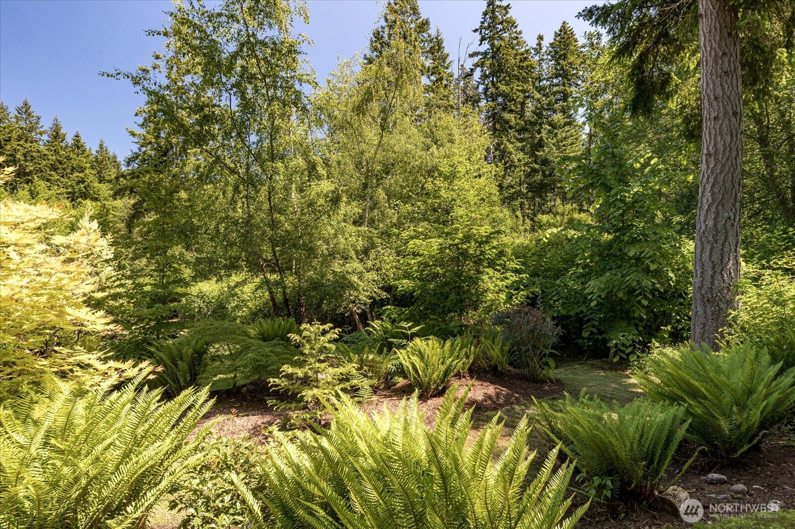 6124 Cultus Bay Road Clinton, WA 98236 - Photo 5 of 38 Gallery Image 5