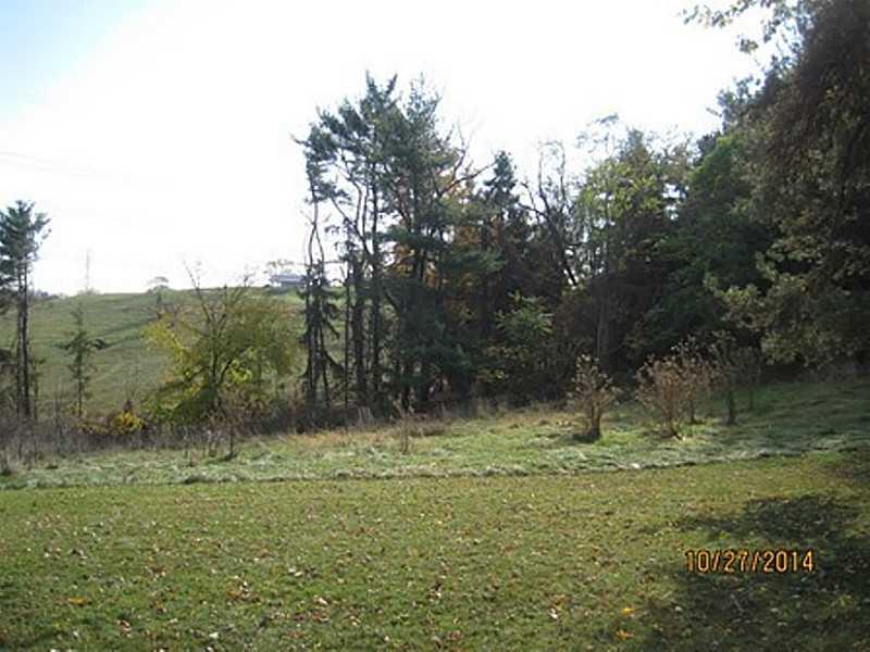 1084 Redstone Road Washington, PA 15301 - Photo 9 of 10 Yard/Garden.